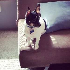 Meet your Posher, Lane